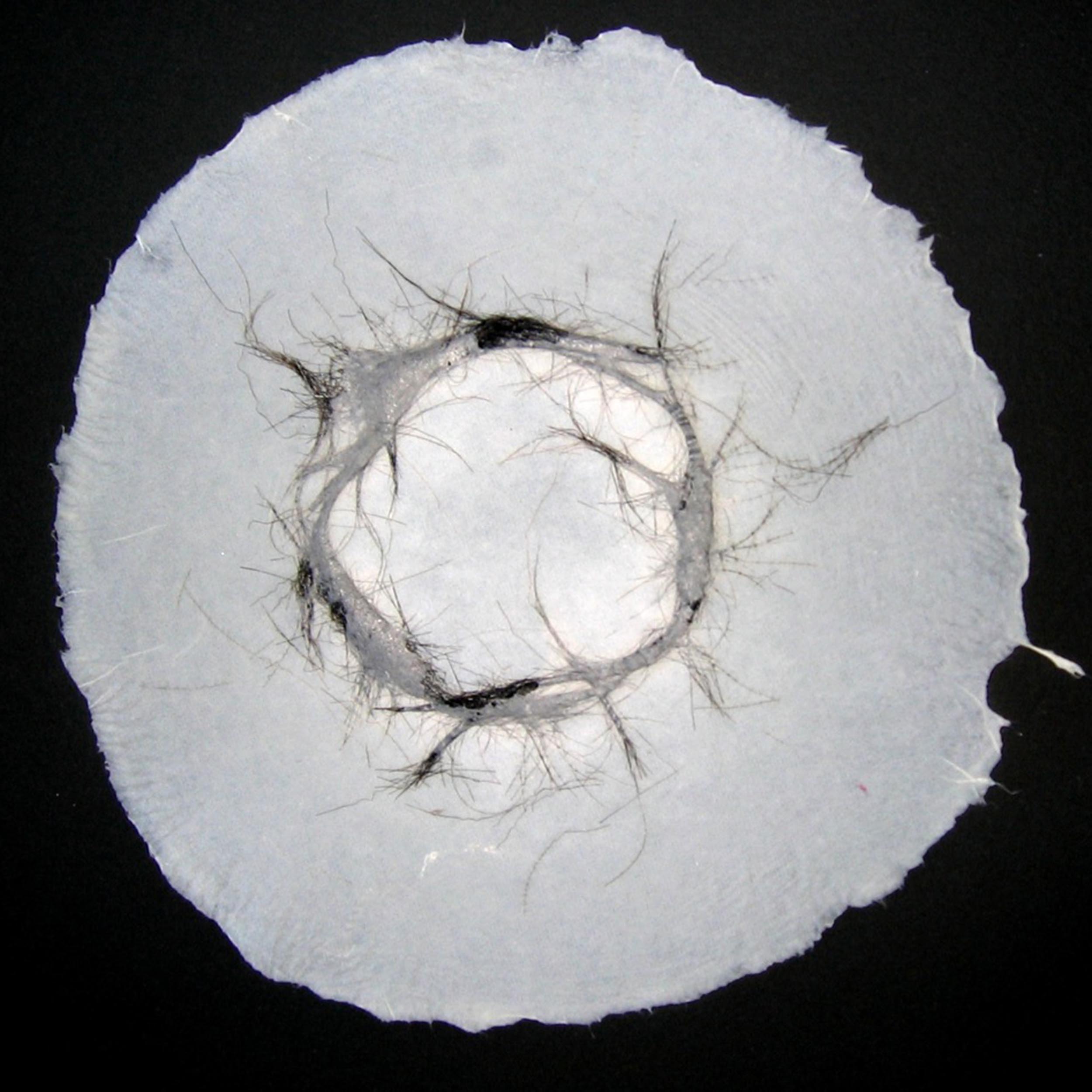 Eve-Biddle-Artworks-Rias-Remains-2006-04