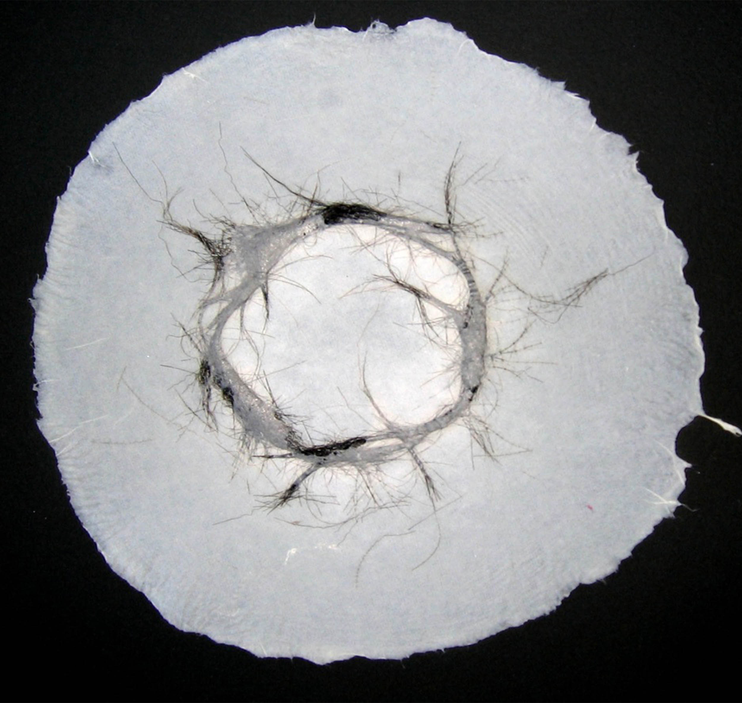 Artwork comprised of a disk of pressed pulp and human hair.