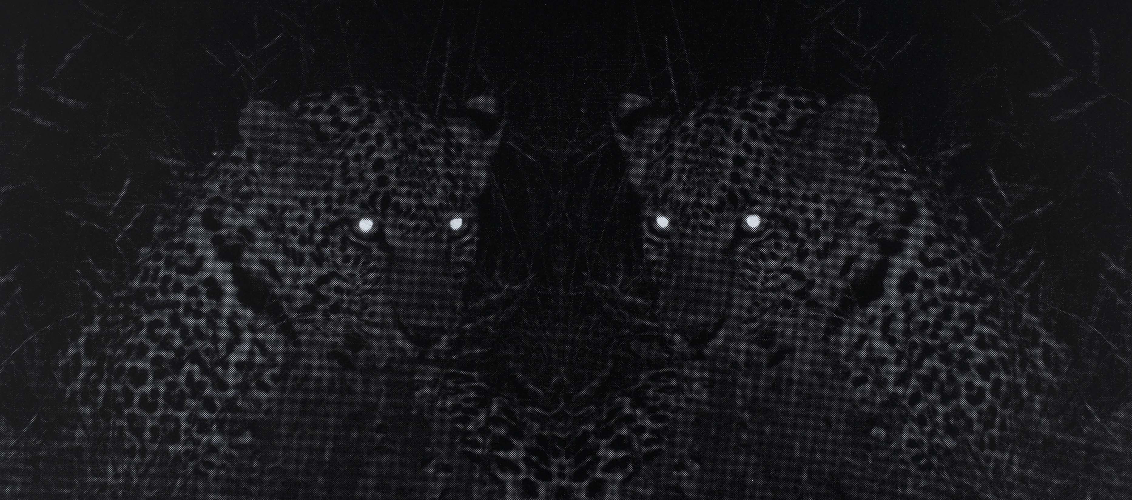 Eve-Biddle-Artworks-Big-Cats-Leopard-Africa-2018