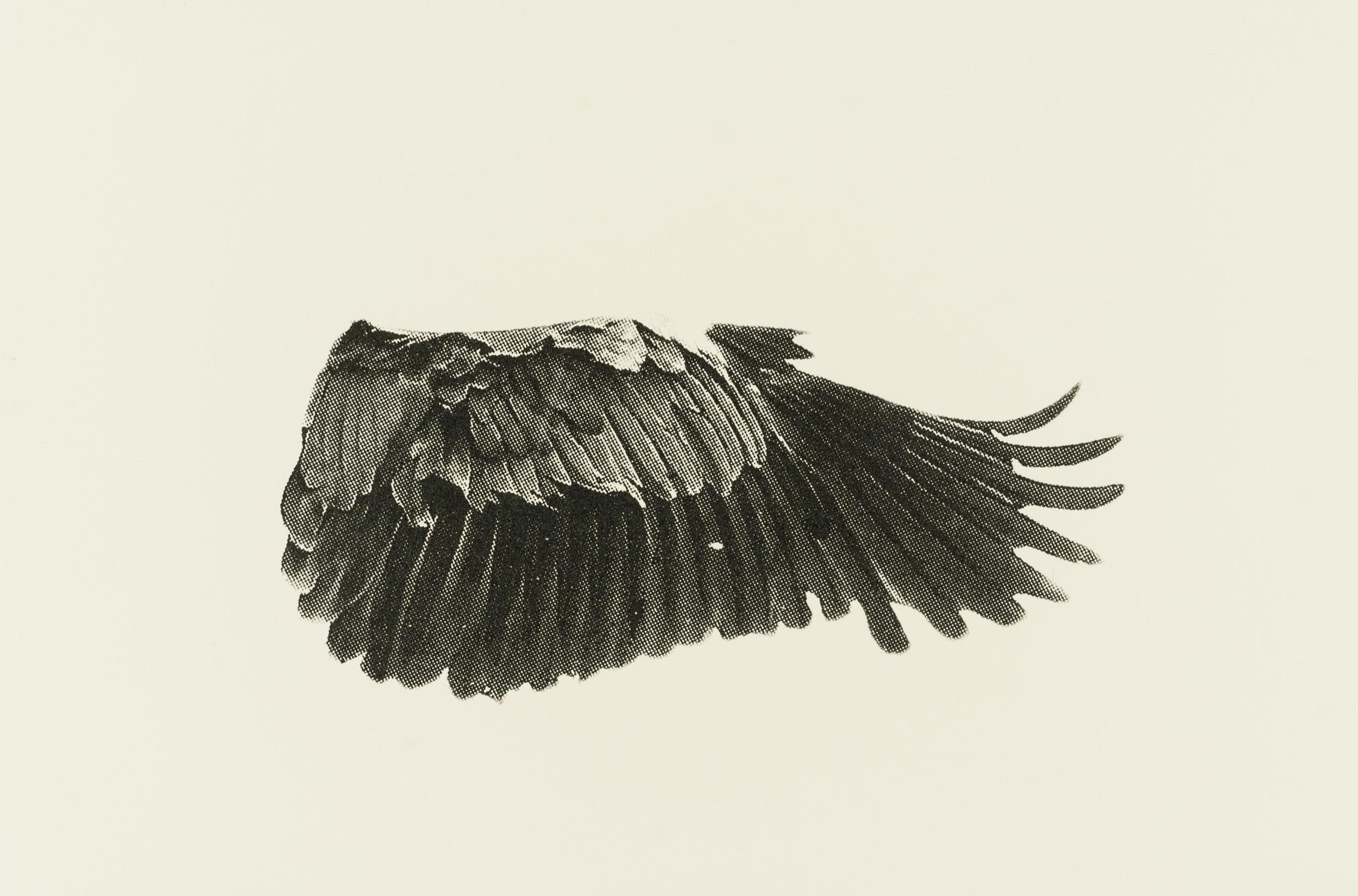 Eve-Biddle-Artworks-Dutchess-Heron-Wing-2016-01
