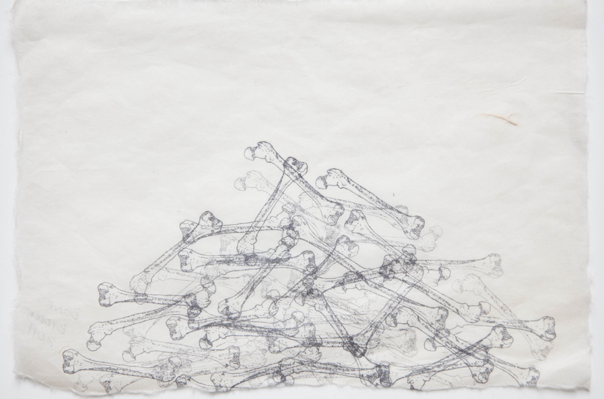 Silkscreen of a photorealistic depiction of a human bone in transparent multiples overlaid atop one another.