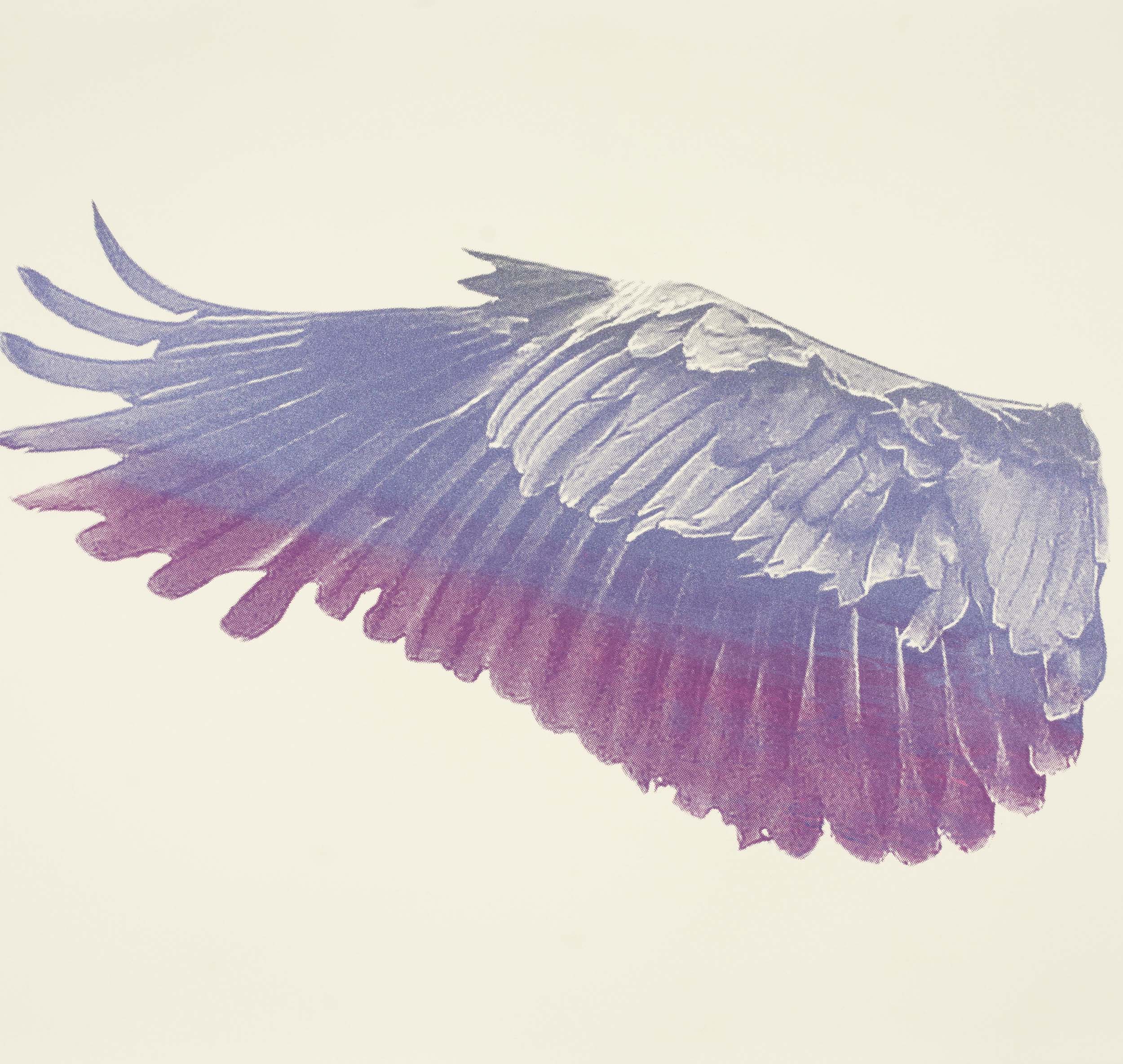Silkscreen of a single heron's wing in purple and pink shades.