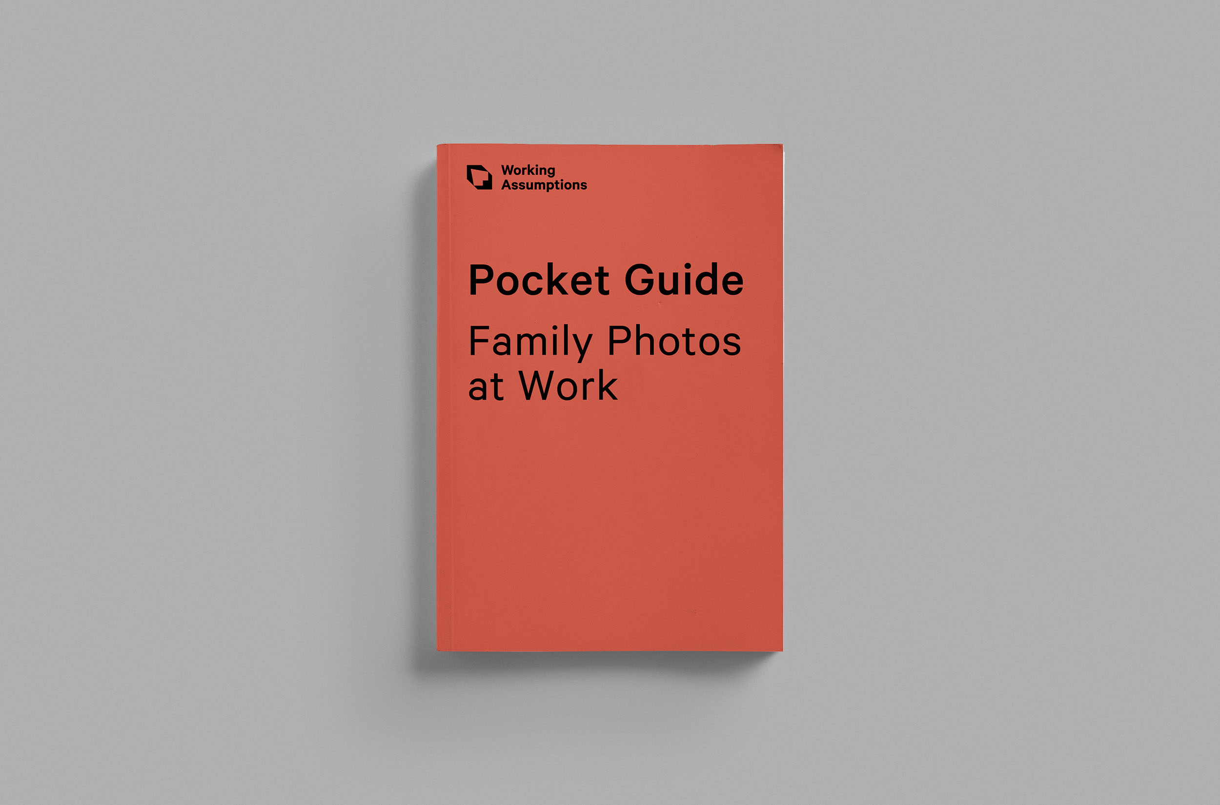 Image depicts a closed book entitled Pocket Guide: Family Photos at Work.