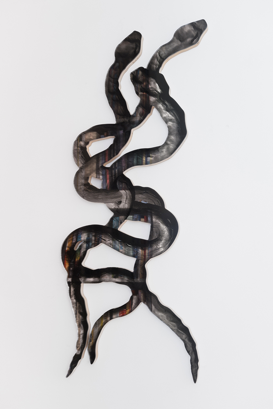 Mirrored Snake: Tangle