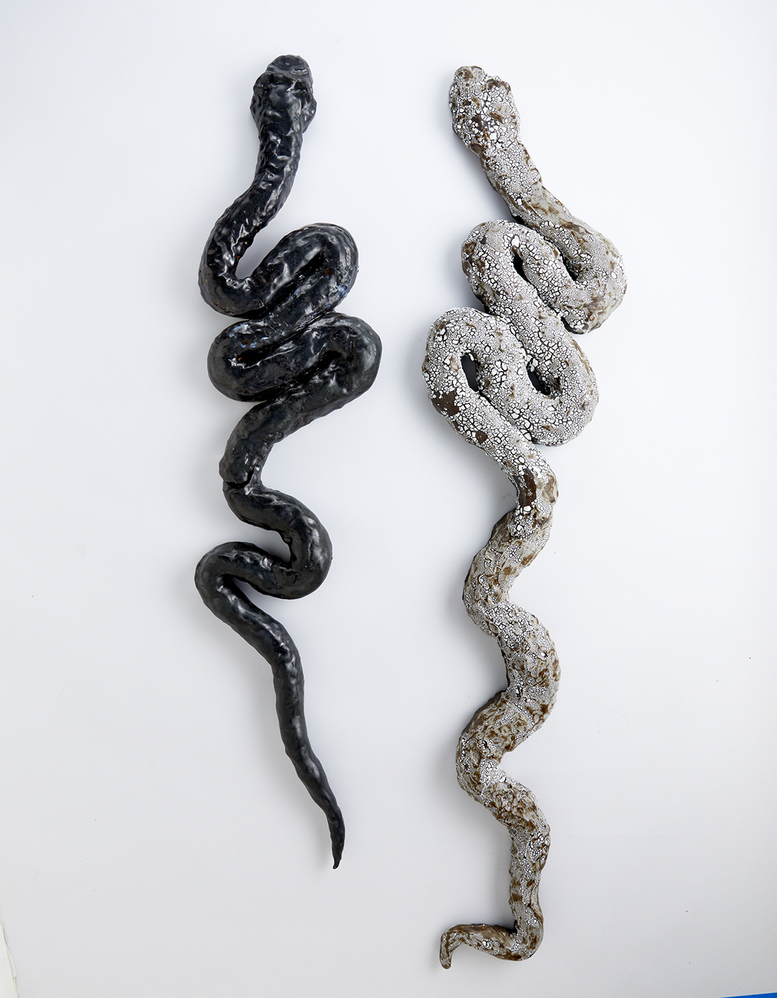 Glossy Black Snake – Snake